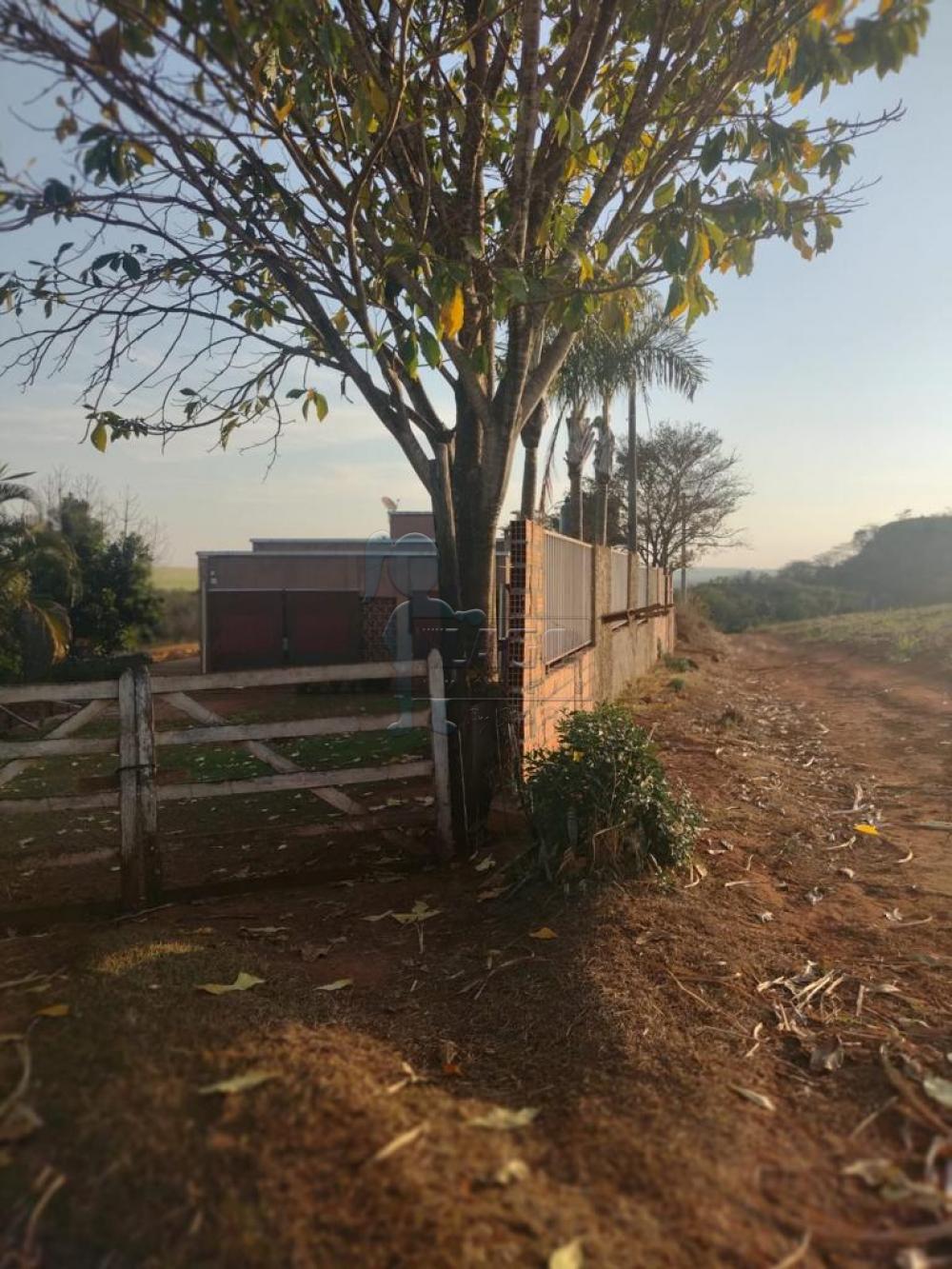 Comprar Rural / Fazenda em Cravinhos R$ 850.000,00 - Foto 10