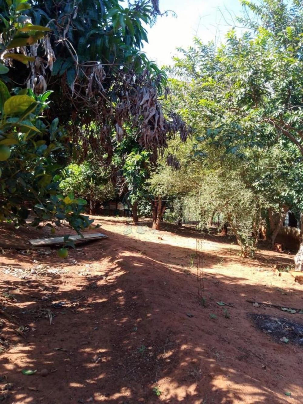 Comprar Rural / Fazenda em Cravinhos R$ 850.000,00 - Foto 14