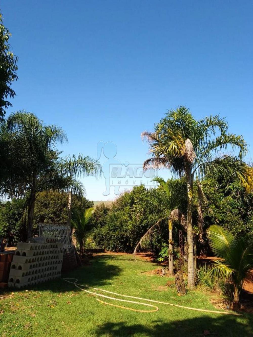 Comprar Rural / Fazenda em Cravinhos R$ 850.000,00 - Foto 18