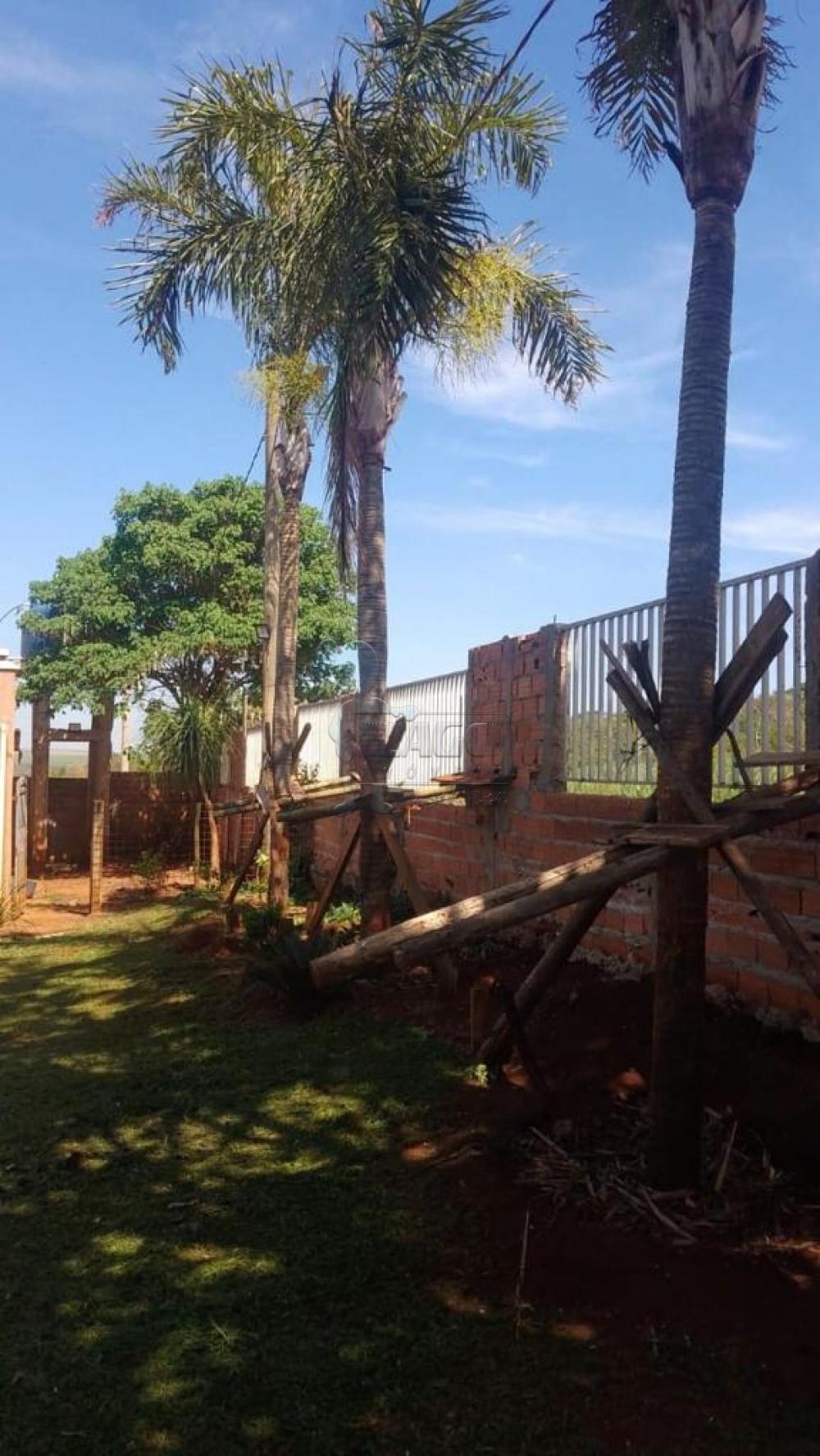 Comprar Rural / Fazenda em Cravinhos R$ 850.000,00 - Foto 19