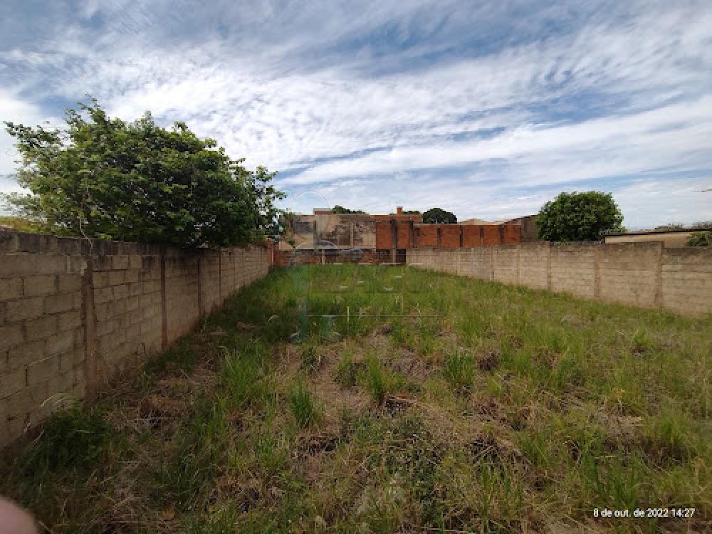 Comprar Terreno / Padrão em Jardinópolis R$ 280.000,00 - Foto 2