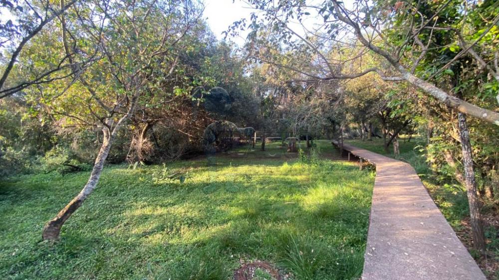 Comprar Rural / Fazenda em Dumont R$ 440.000,00 - Foto 16