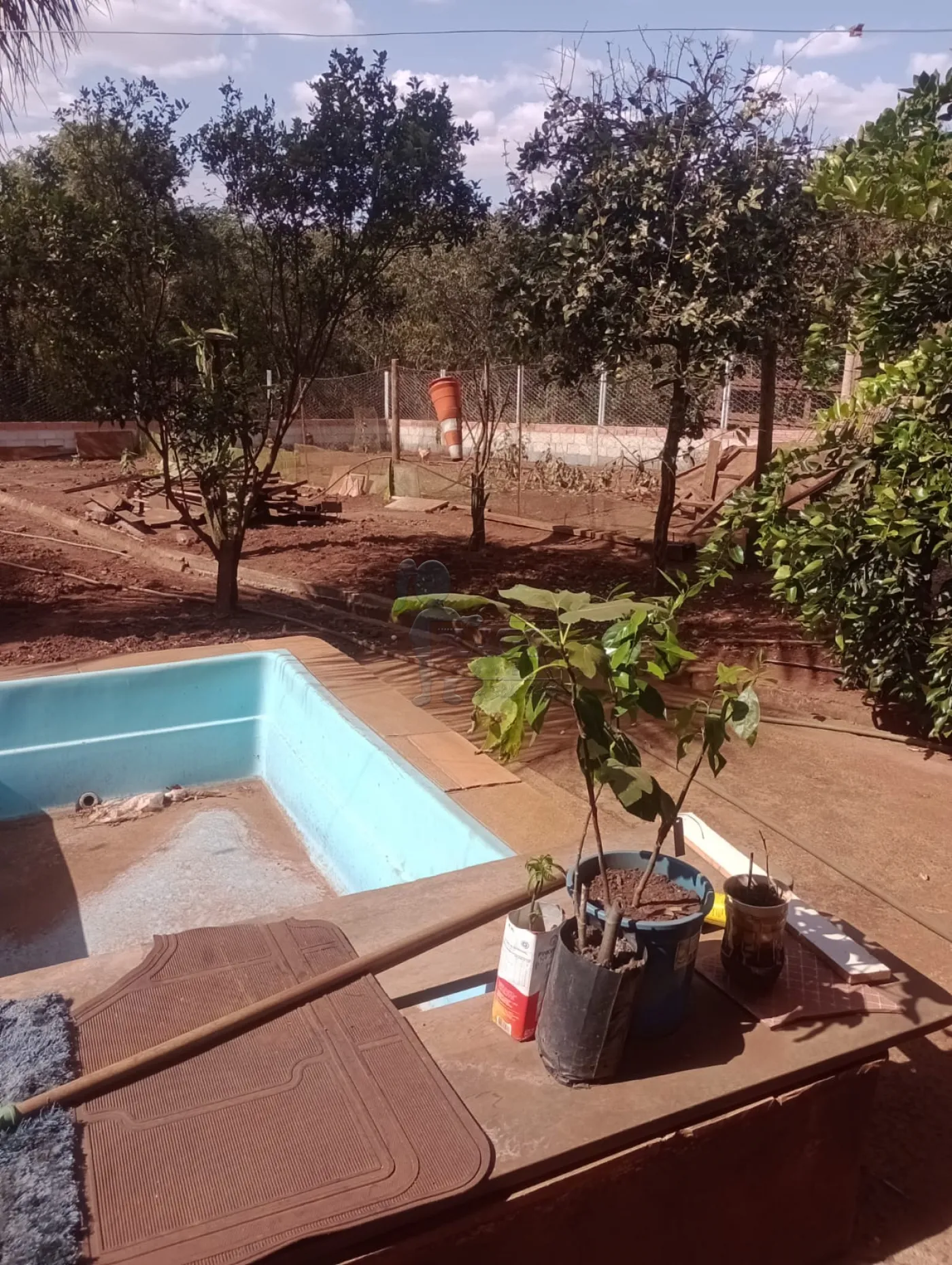 Comprar Rural / Fazenda em Dumont R$ 440.000,00 - Foto 23