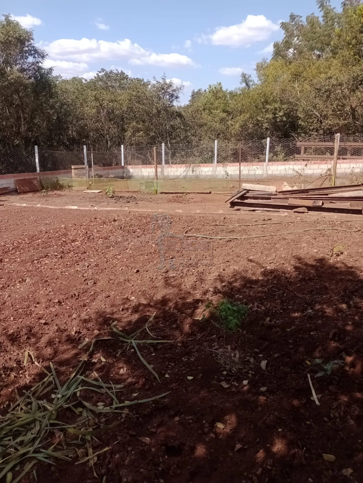 Comprar Rural / Fazenda em Dumont R$ 440.000,00 - Foto 29