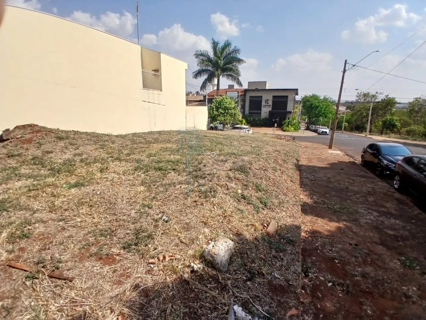 Comprar Terreno / Padrão em Ribeirão Preto R$ 400.000,00 - Foto 5