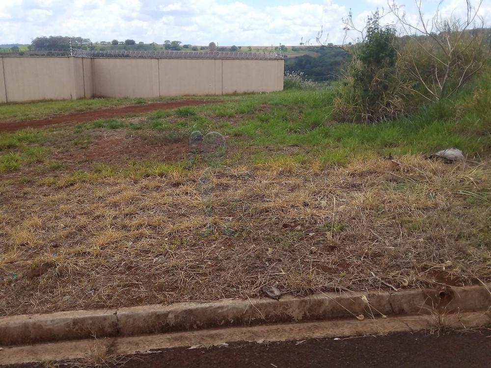 Comprar Terreno / Padrão em Bonfim Paulista R$ 265.000,00 - Foto 2