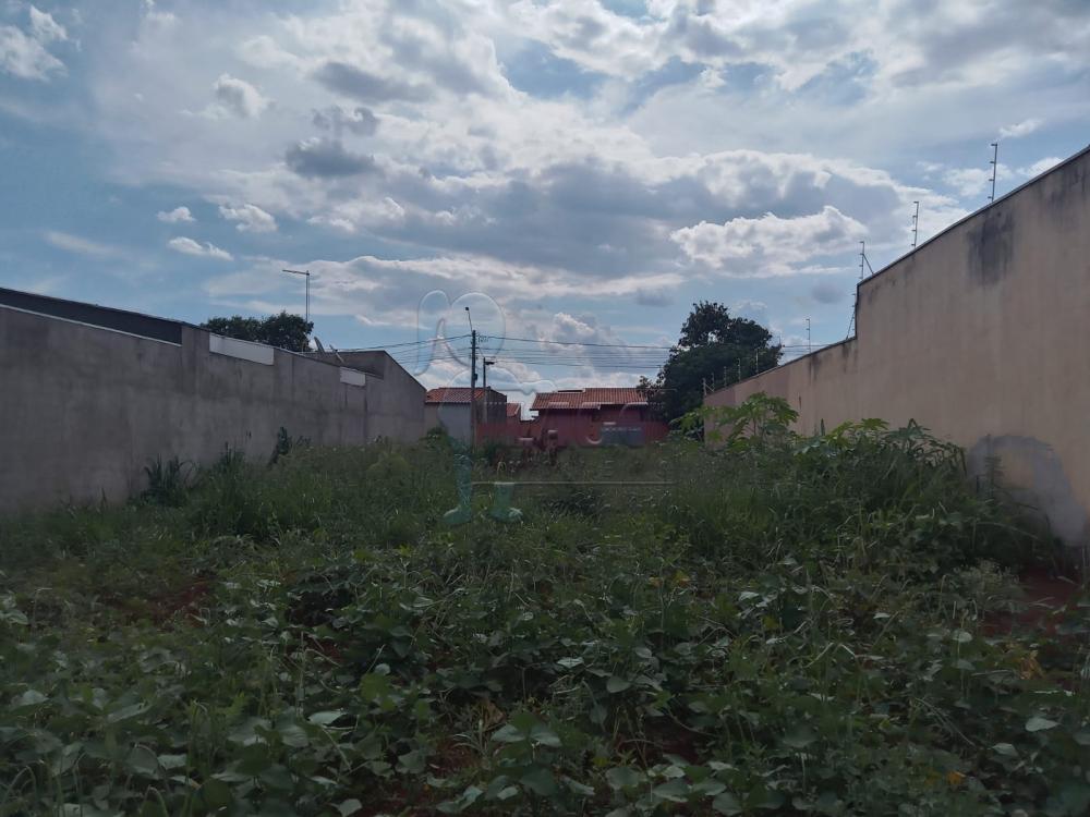 Comprar Terreno / Padrão em Jardinópolis R$ 80.000,00 - Foto 2