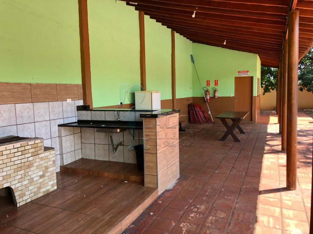 Comprar Rural / Fazenda em Sertãozinho R$ 1.500.000,00 - Foto 4