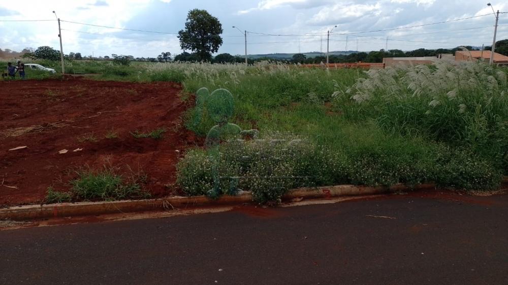 Comprar Terreno / Padrão em Jardinópolis R$ 180.000,00 - Foto 1