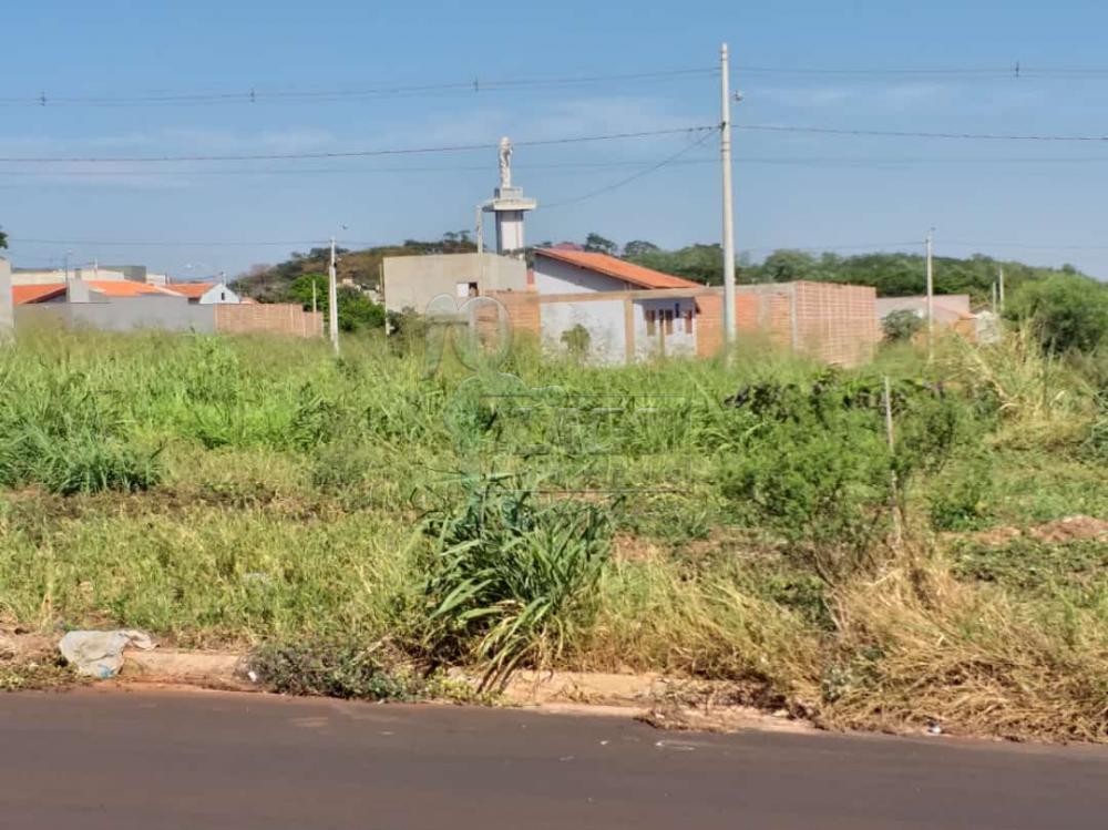 Comprar Terreno / Padrão em Sertãozinho R$ 125.000,00 - Foto 2