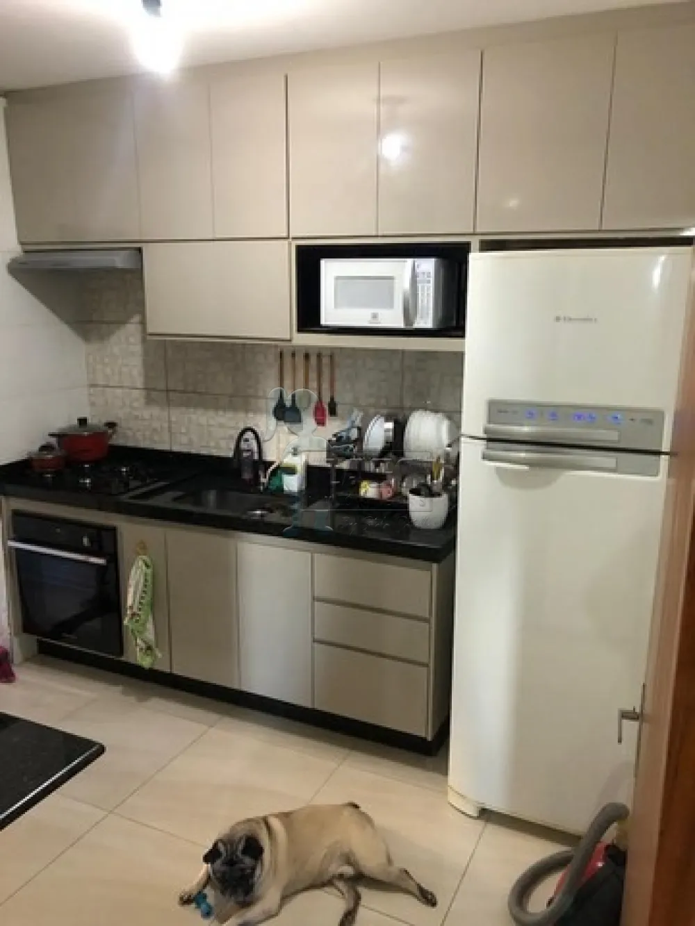 Comprar Apartamento / Padrão em Ribeirão Preto R$ 260.000,00 - Foto 3