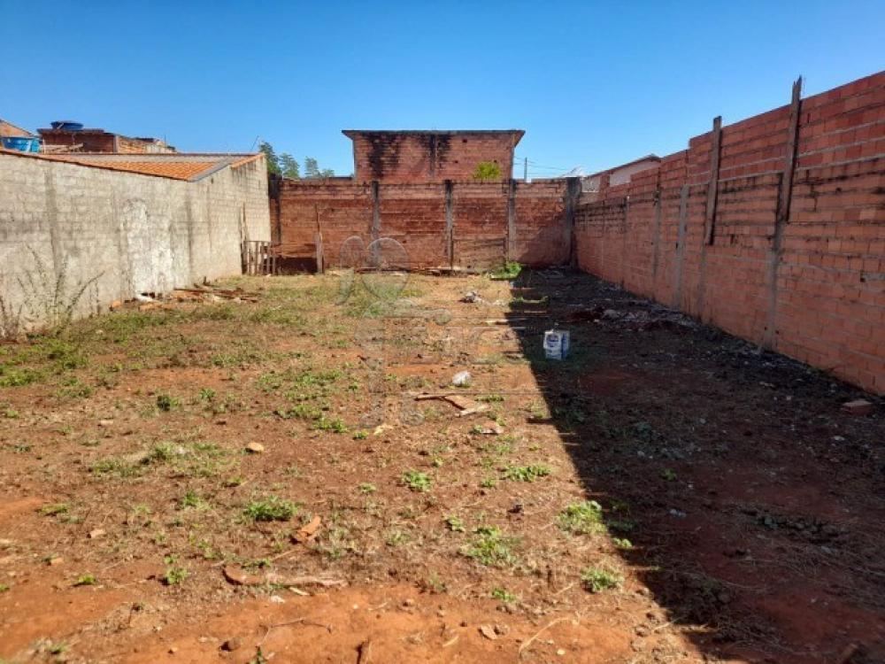 Comprar Terreno / Padrão em Pradópolis - Foto 1