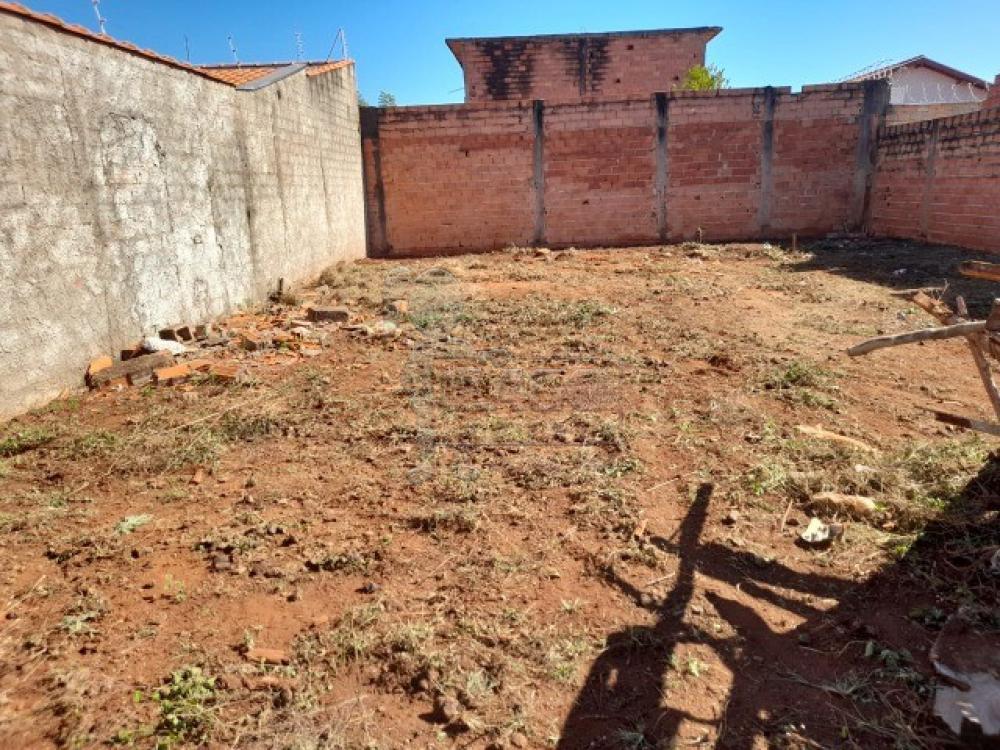 Comprar Terreno / Padrão em Pradópolis - Foto 2