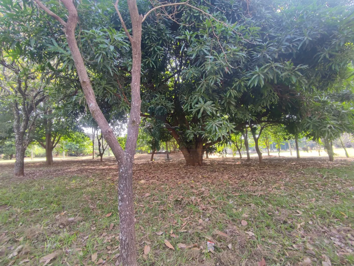 Comprar Terreno / Condomínio em Bonfim Paulista R$ 910.000,00 - Foto 15