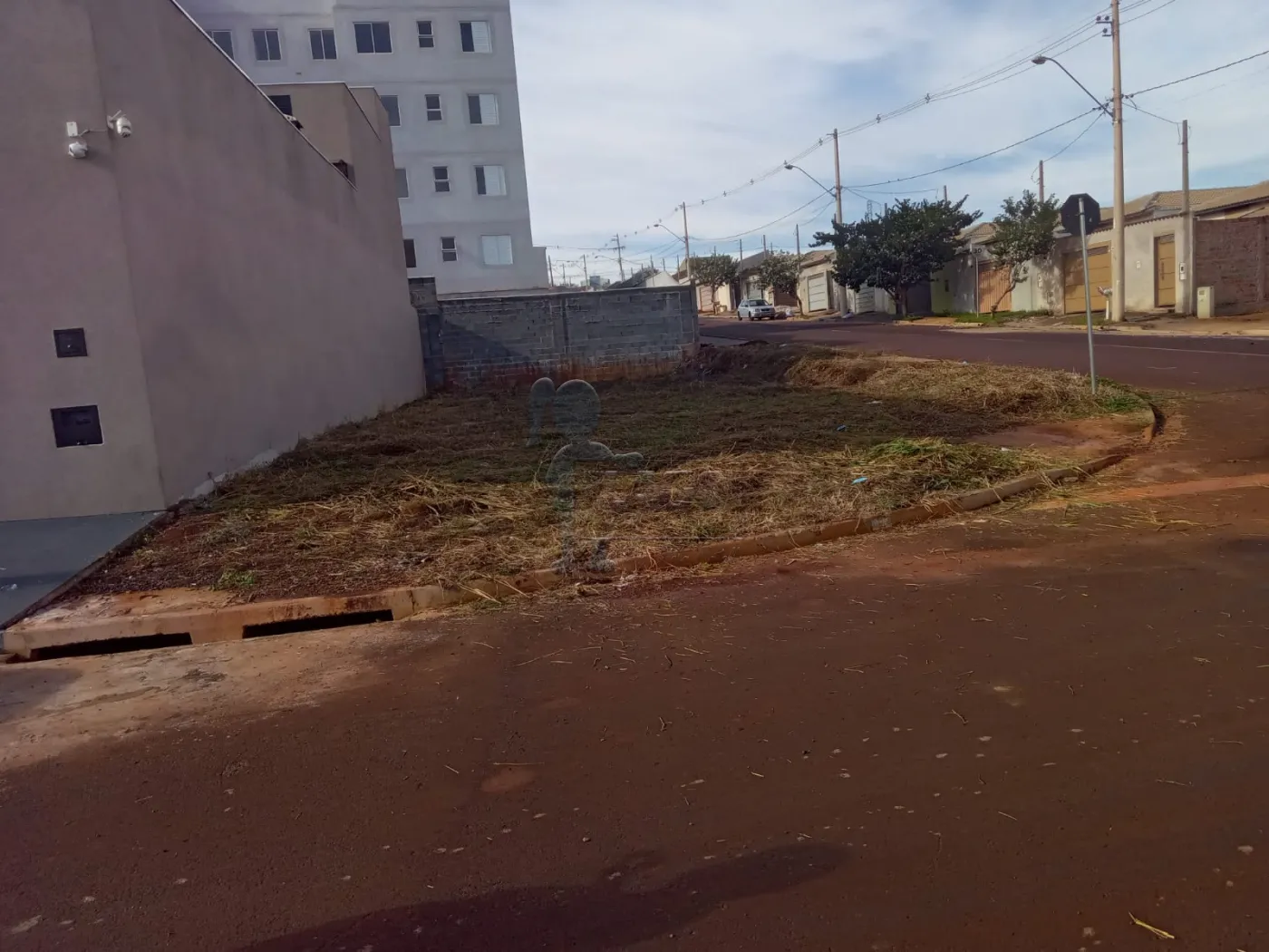 Comprar Terreno / Padrão em Ribeirão Preto R$ 170.000,00 - Foto 3