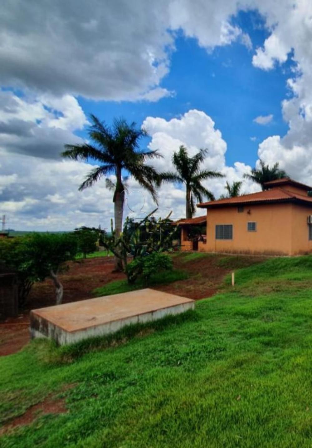 Comprar Casa / Chácara - Rancho em Ribeirão Preto R$ 1.400.000,00 - Foto 5