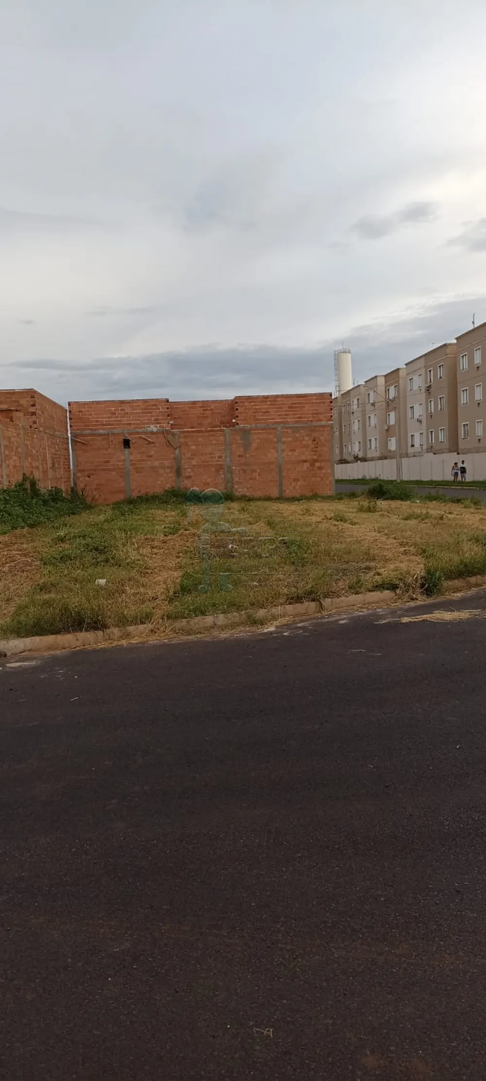 Comprar Terreno / Padrão em Sertãozinho R$ 150.000,00 - Foto 1