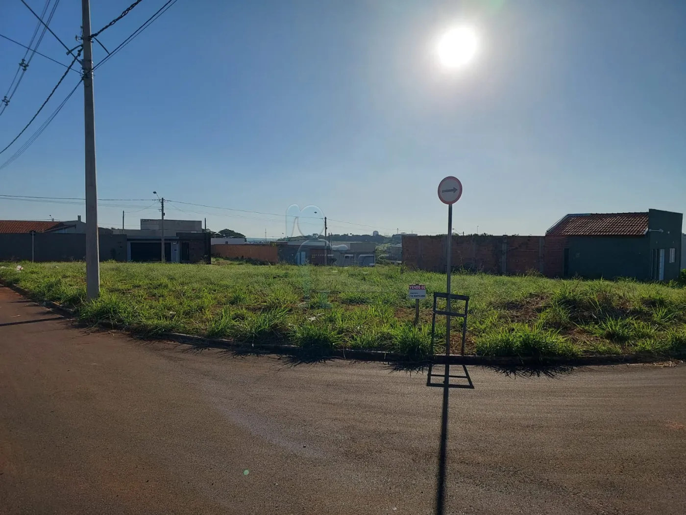 Alugar Terreno / Padrão em Sertãozinho R$ 1.400,00 - Foto 3