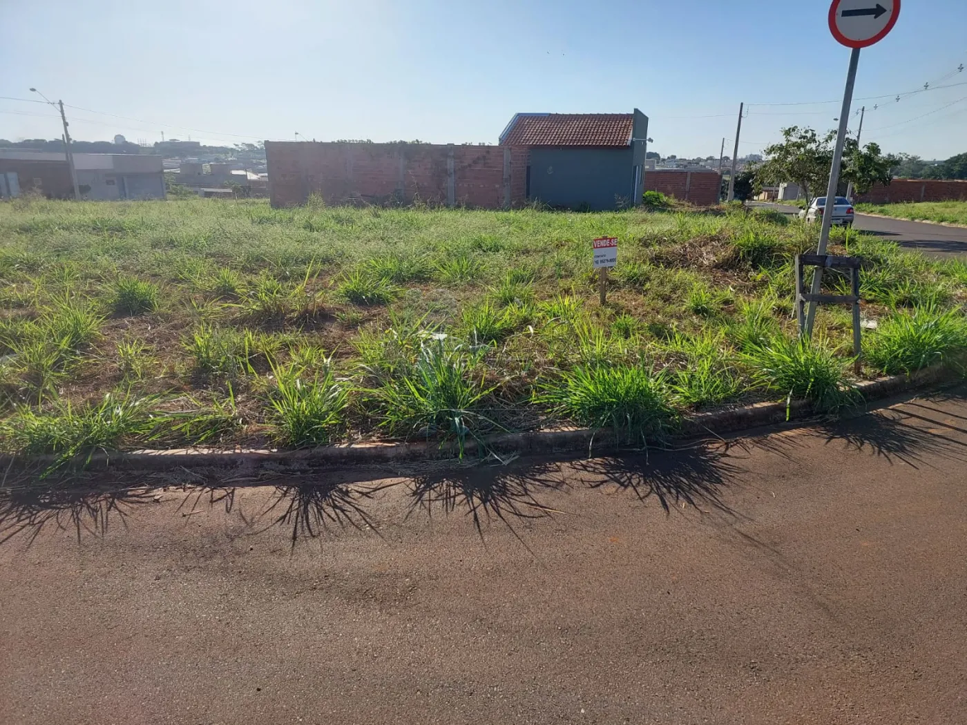 Alugar Terreno / Padrão em Sertãozinho R$ 1.400,00 - Foto 4