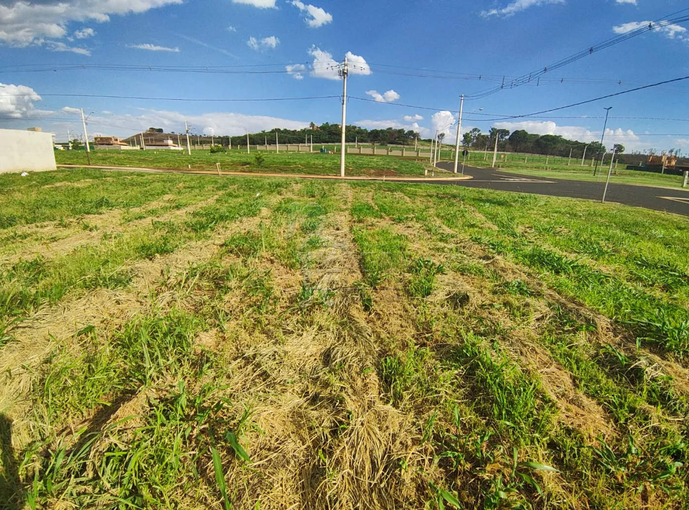 Comprar Terreno / Condomínio em Ribeirão Preto R$ 405.000,00 - Foto 4