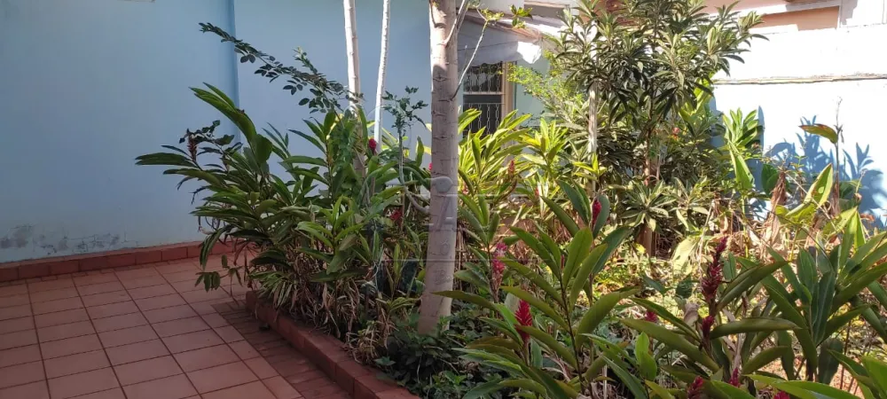 Alugar Casa / Padrão em Ribeirão Preto R$ 5.500,00 - Foto 7