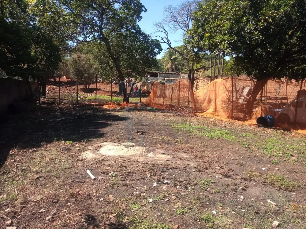 Alugar Terreno / Padrão em Ribeirão Preto R$ 1.800,00 - Foto 6