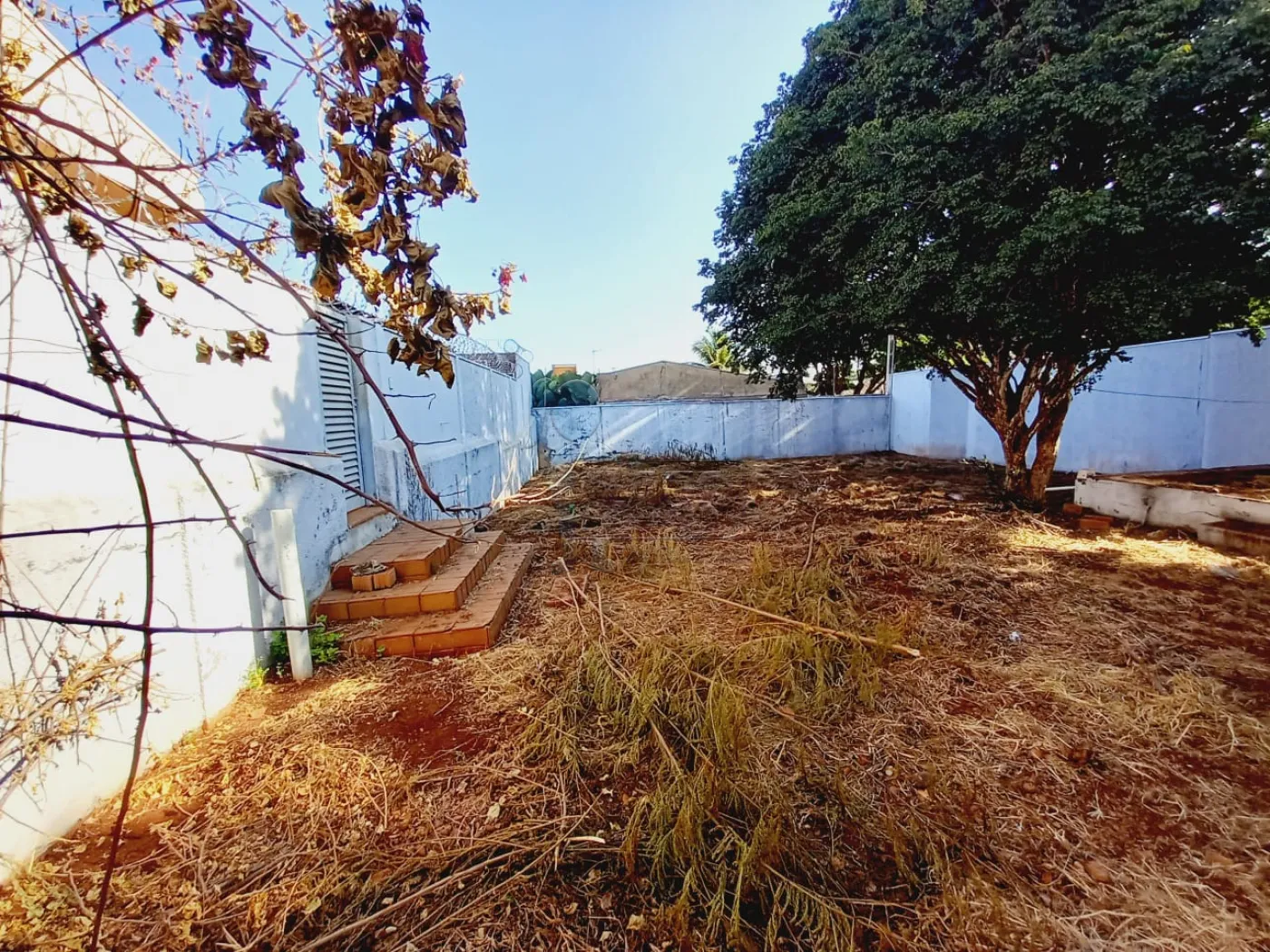 Alugar Casa / Padrão em Ribeirão Preto R$ 3.000,00 - Foto 13