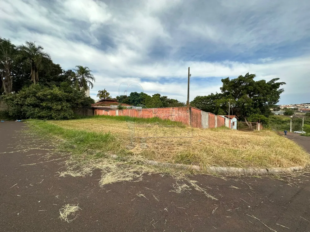 Comprar Terreno / Padrão em Sertãozinho R$ 650.000,00 - Foto 1