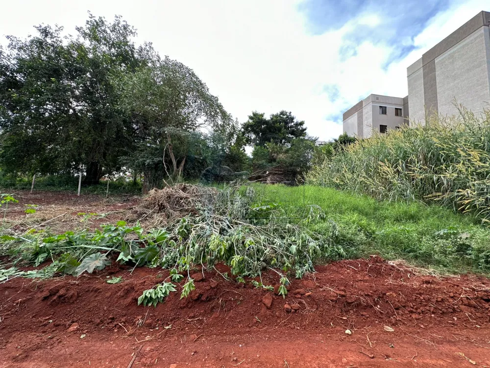 Comprar Terreno / Padrão em Sertãozinho R$ 650.000,00 - Foto 4