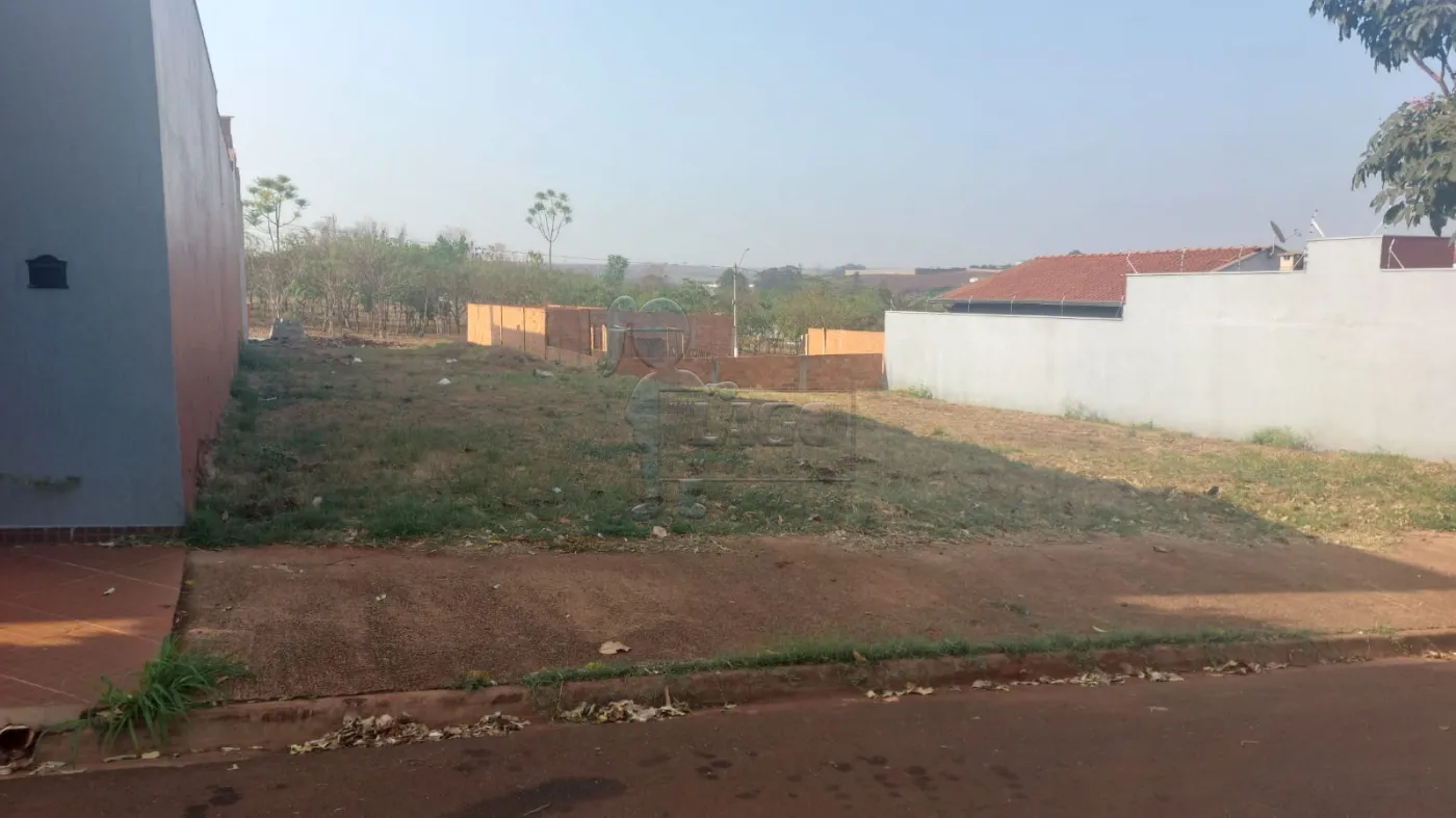 Comprar Terreno / Padrão em Sertãozinho R$ 149.000,00 - Foto 1