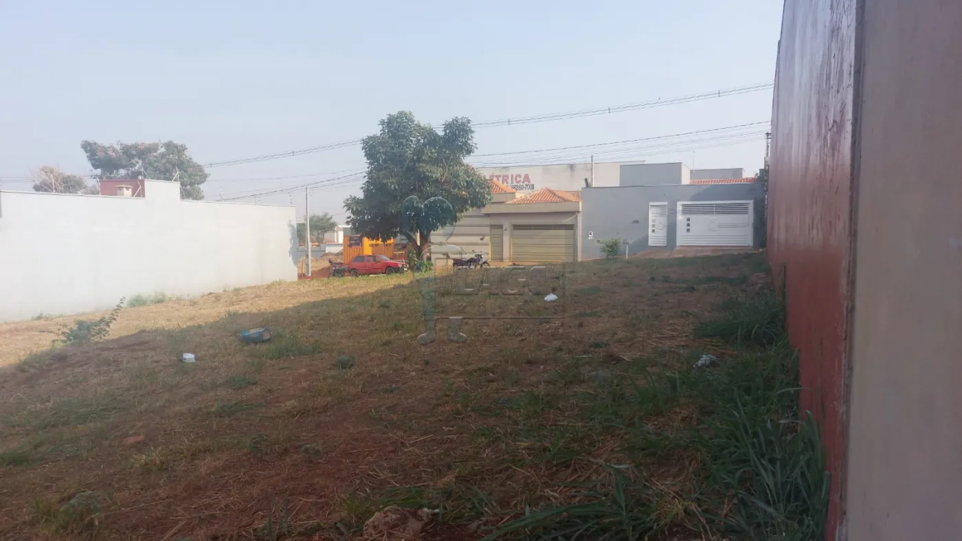 Comprar Terreno / Padrão em Sertãozinho R$ 149.000,00 - Foto 2