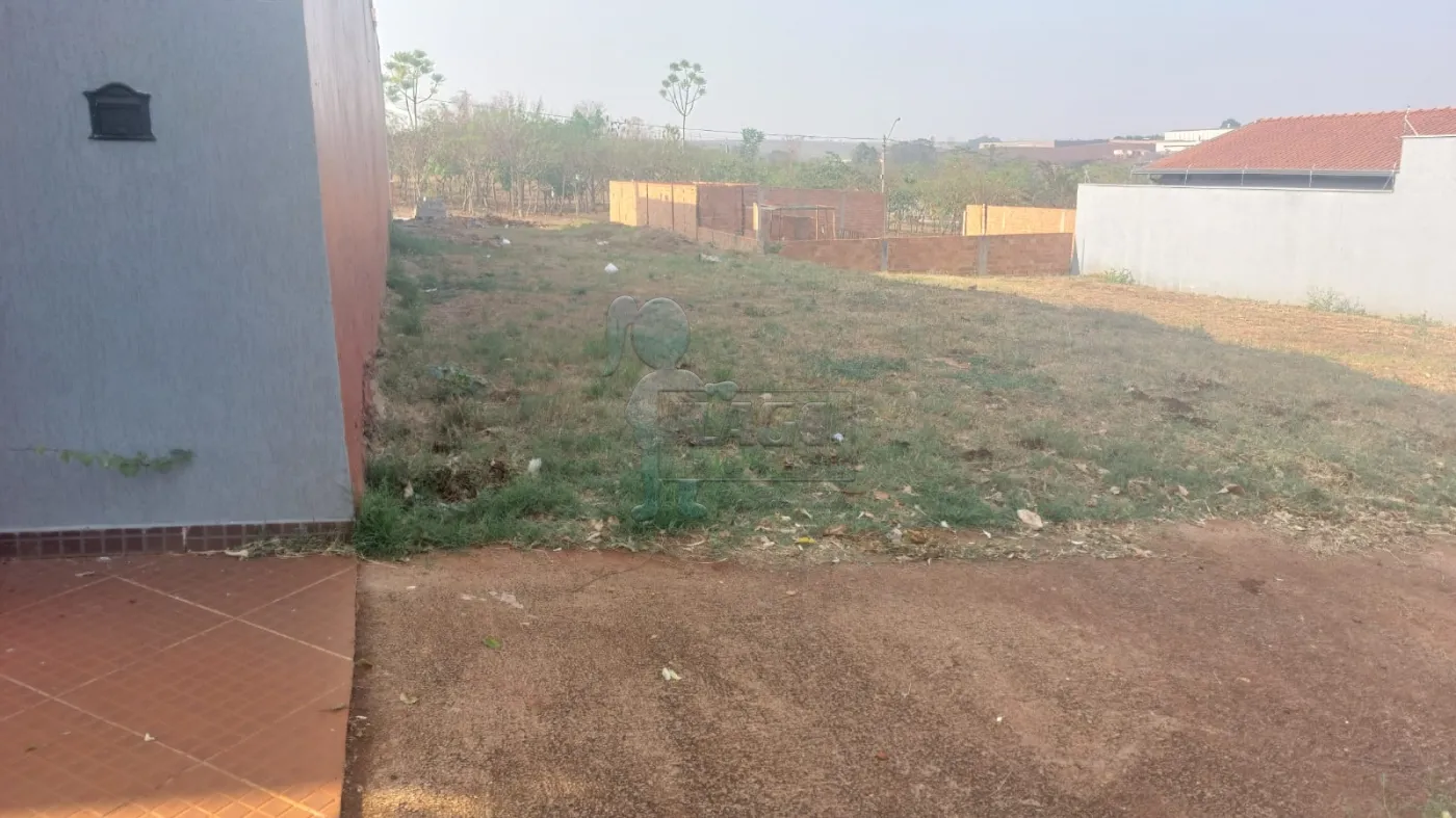 Comprar Terreno / Padrão em Sertãozinho R$ 149.000,00 - Foto 4