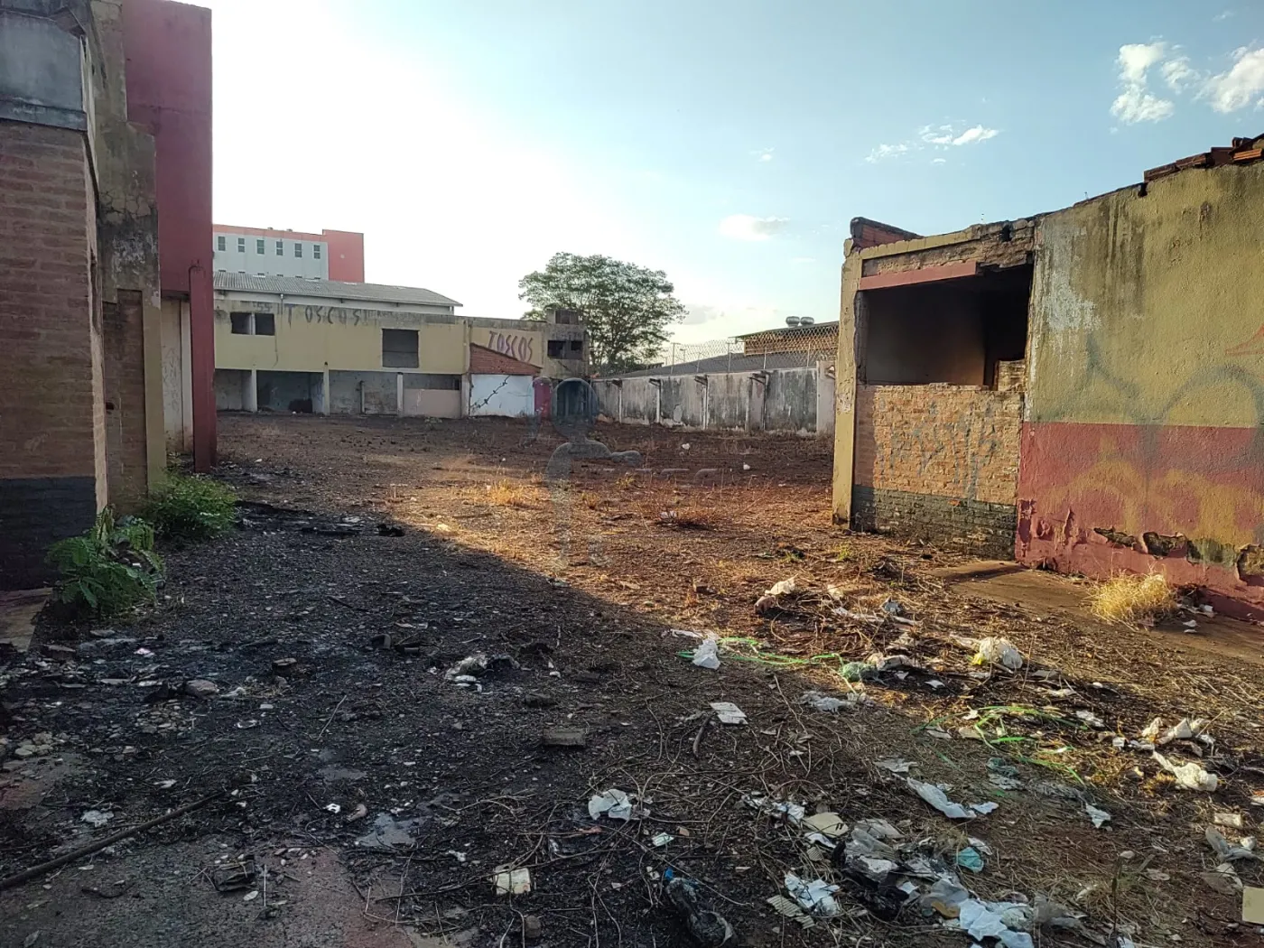 Comprar Terreno / Padrão em Ribeirão Preto R$ 2.000.000,00 - Foto 3