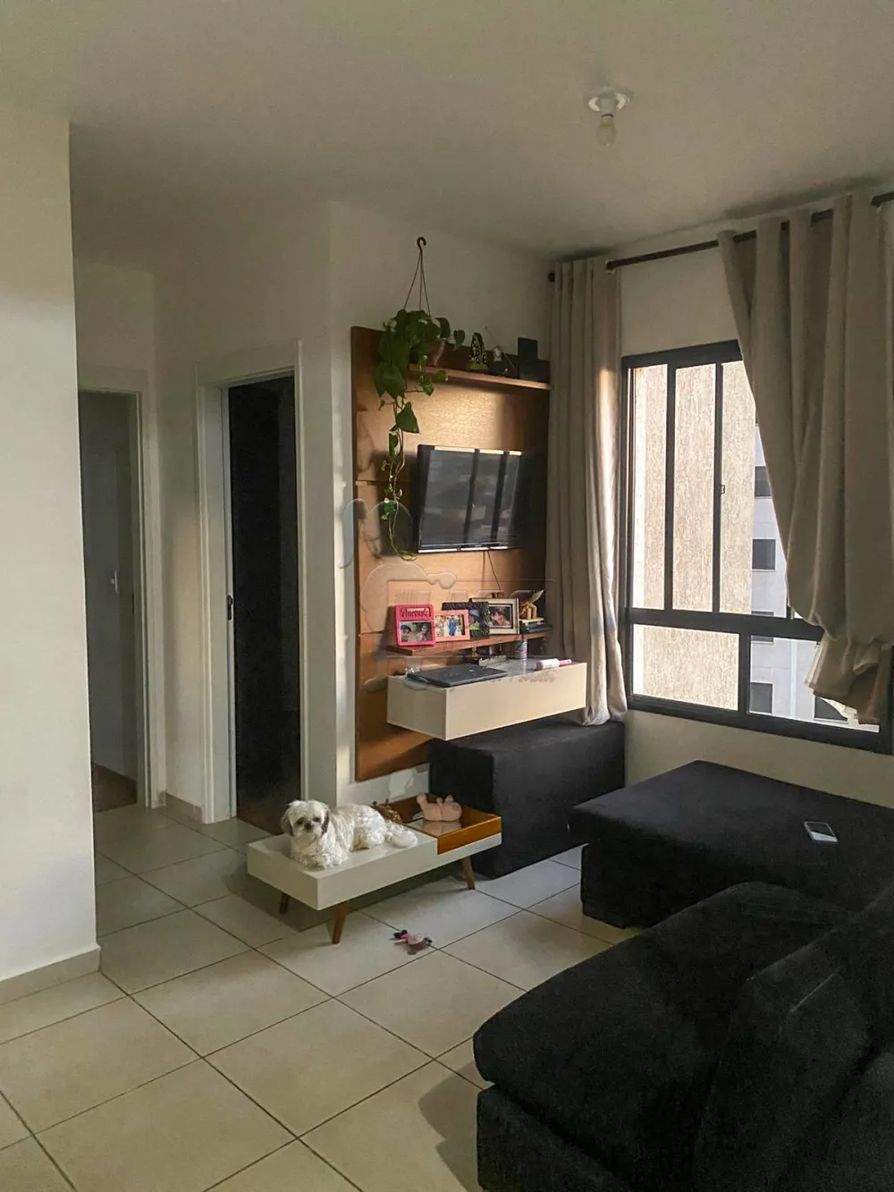 Comprar Apartamento / Padrão em Ribeirão Preto R$ 270.000,00 - Foto 2