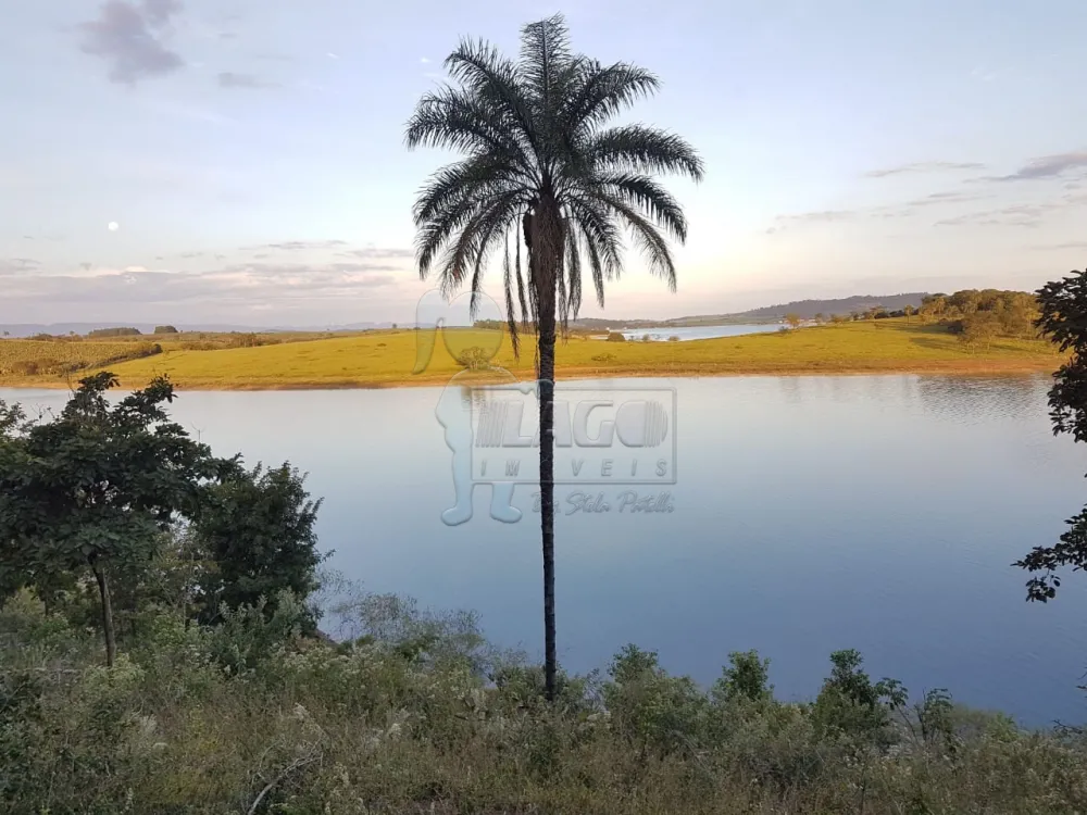 Comprar Terreno / Padrão em Delfinópolis R$ 500.000,00 - Foto 2