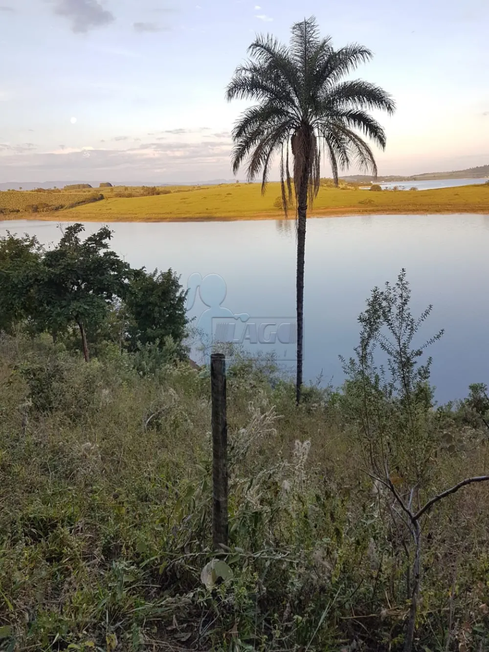 Comprar Terreno / Padrão em Delfinópolis R$ 500.000,00 - Foto 4