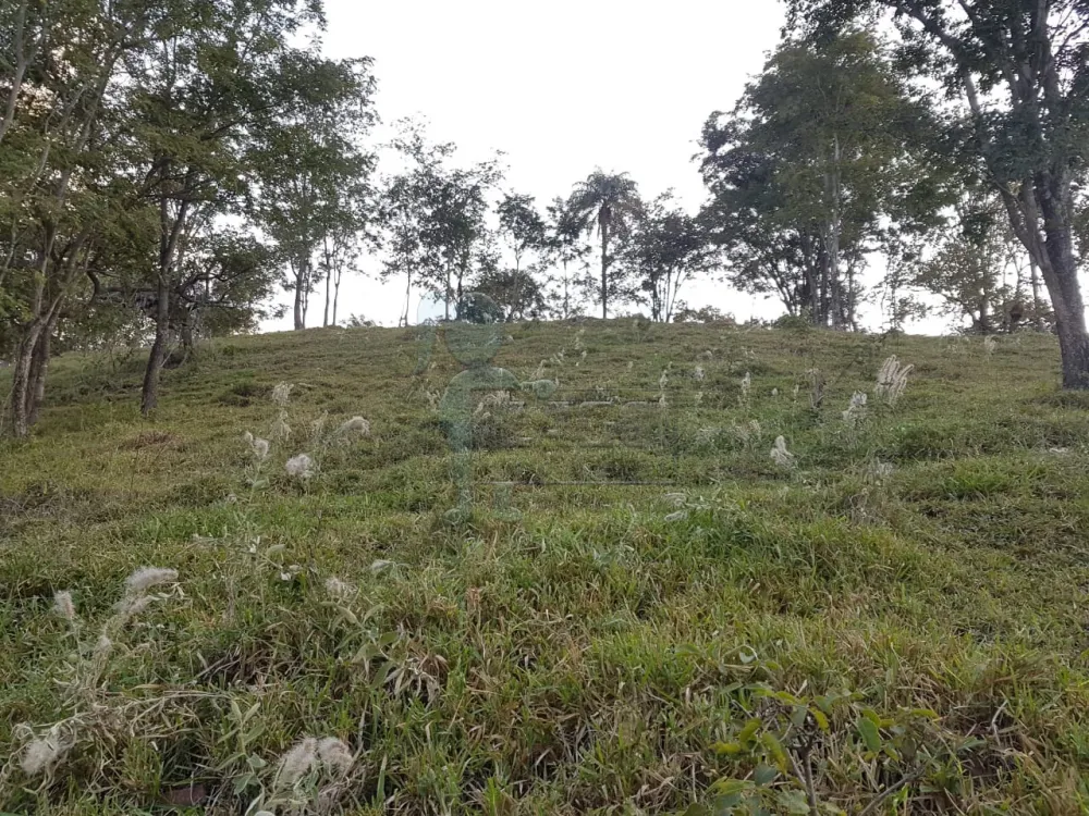 Comprar Terreno / Padrão em Delfinópolis R$ 350.000,00 - Foto 4