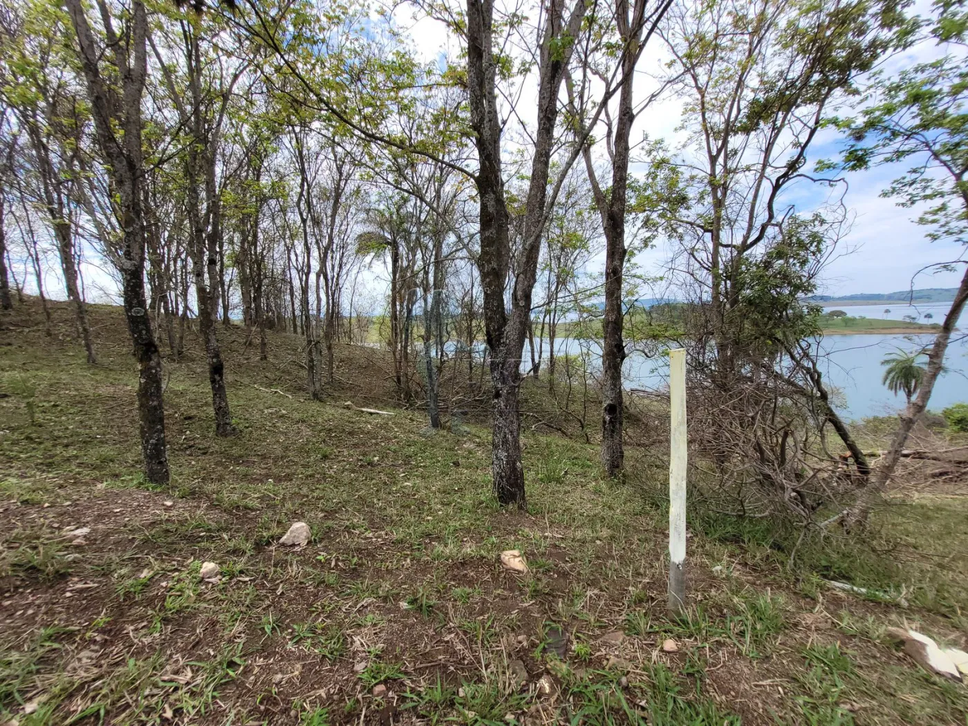 Comprar Terreno / Padrão em Delfinópolis R$ 500.000,00 - Foto 9