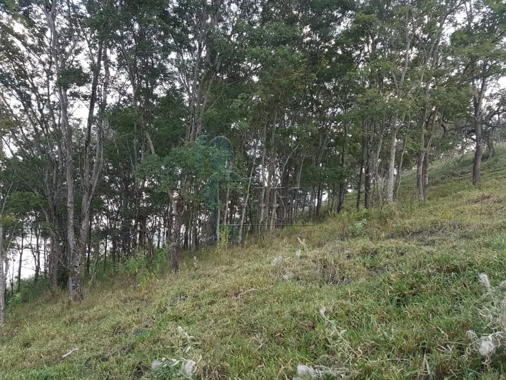 Comprar Terreno / Padrão em Delfinópolis R$ 500.000,00 - Foto 4