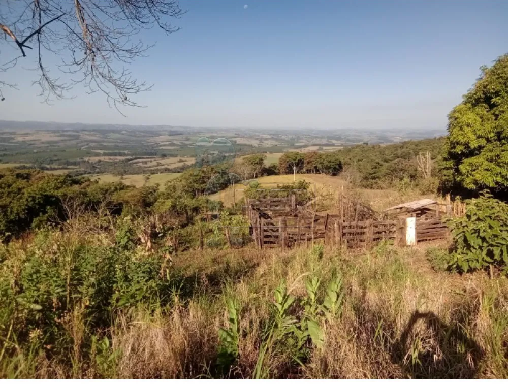 Comprar Terreno / Área em Cássia dos Coqueiros R$ 200.000,00 - Foto 3