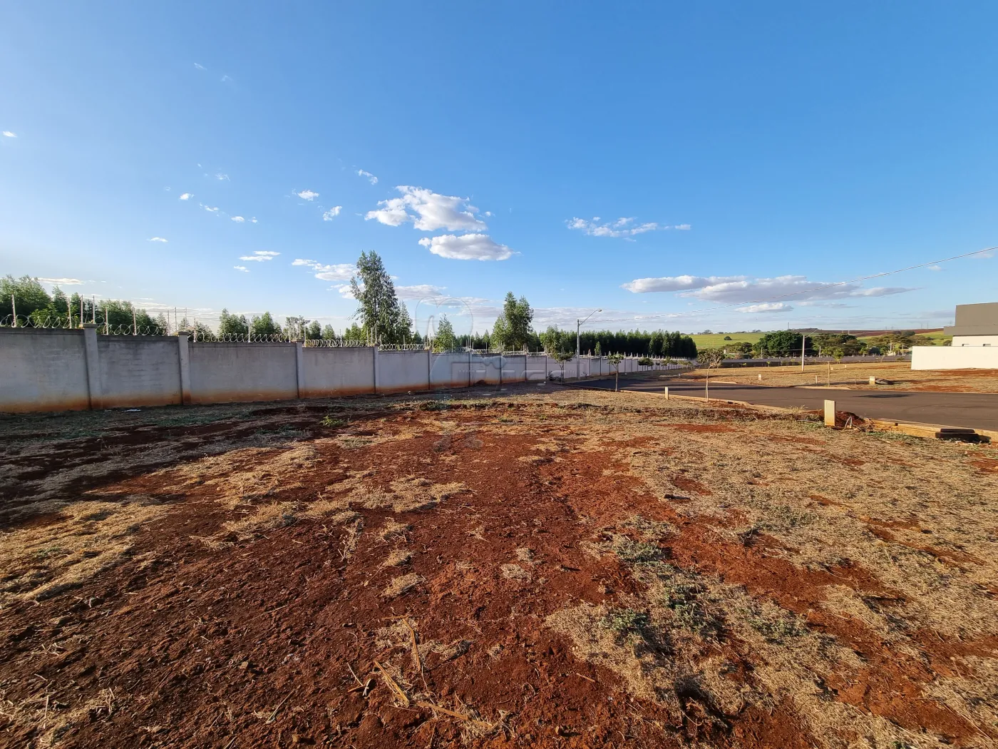 Comprar Terreno / Condomínio em Ribeirão Preto R$ 265.000,00 - Foto 11