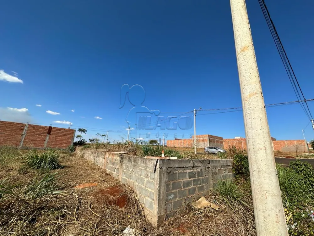 Comprar Terreno / Padrão em Sertãozinho R$ 170.000,00 - Foto 5