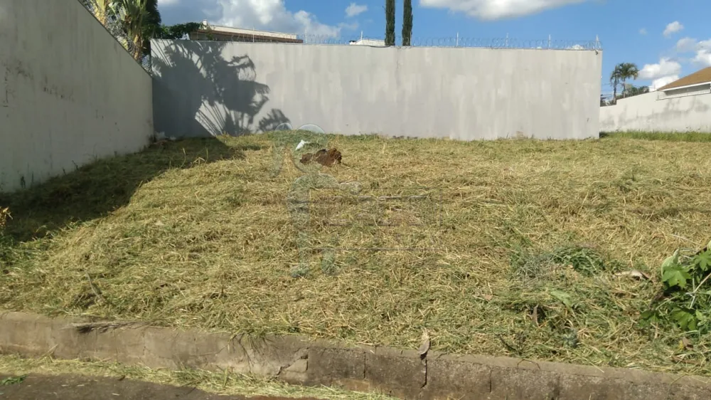 Alugar Terreno / Padrão em Ribeirão Preto R$ 2.000,00 - Foto 1