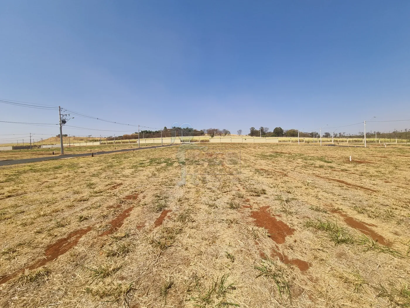 Comprar Terreno / Condomínio em Ribeirão Preto R$ 420.000,00 - Foto 8