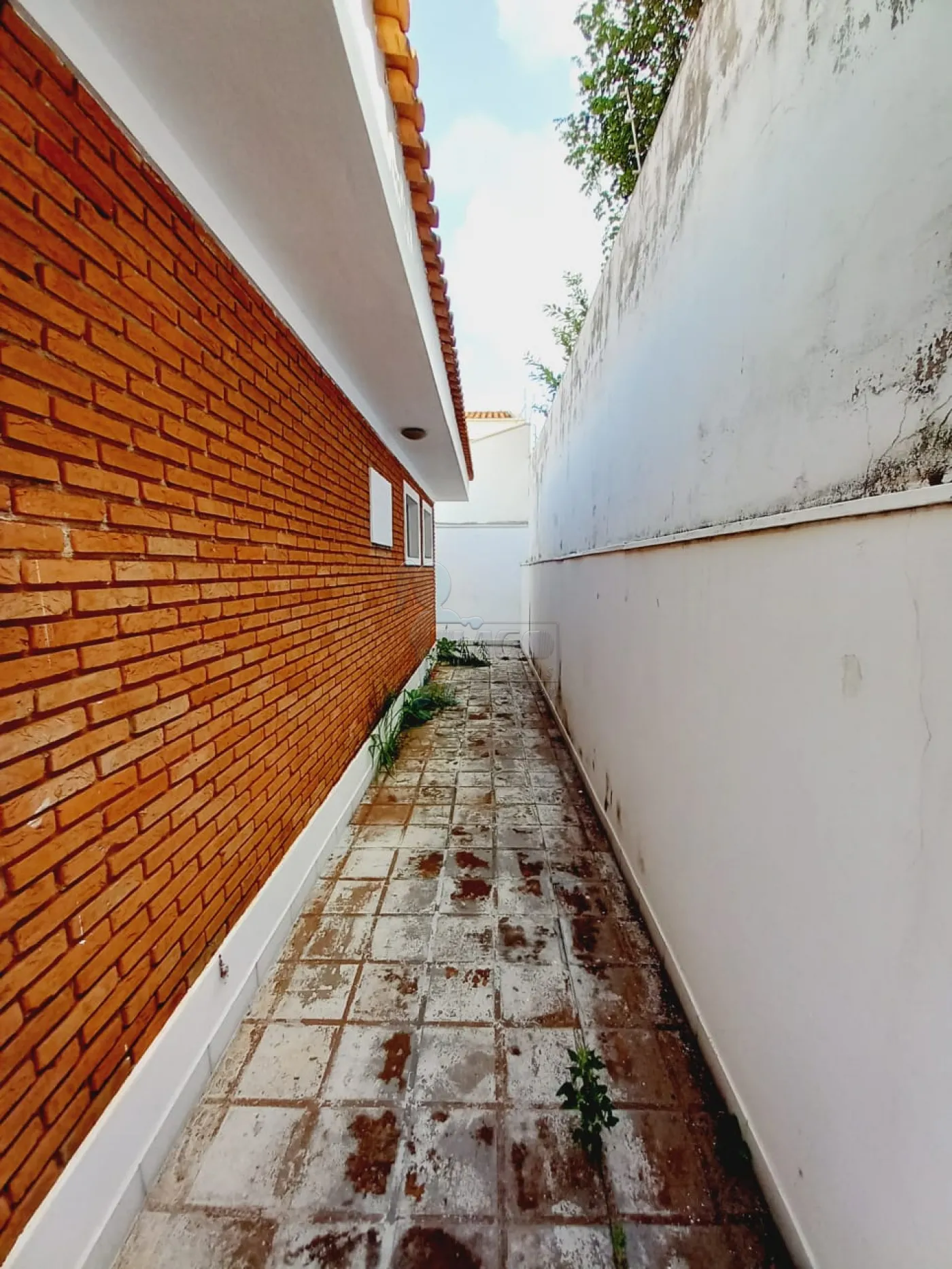 Alugar Casa / Padrão em Ribeirão Preto R$ 3.300,00 - Foto 15