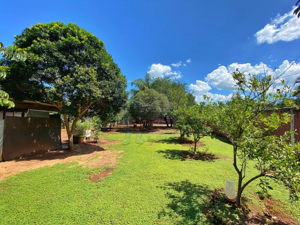 Comprar Casas / Chácara/Rancho em Ribeirão Preto R$ 1.800.000,00 - Foto 28