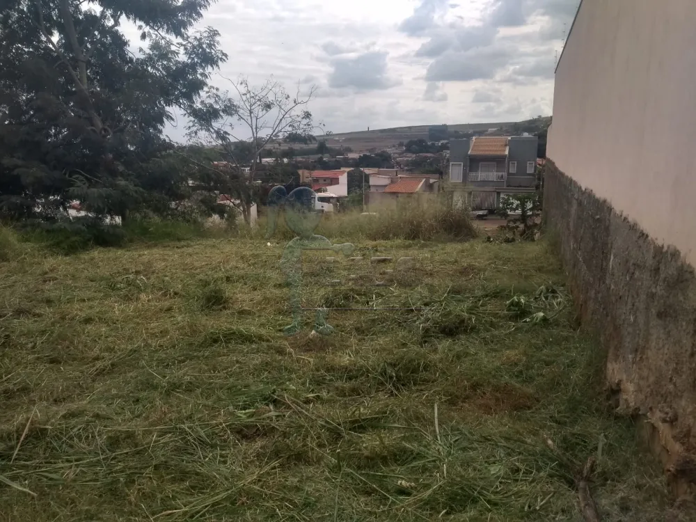 Comprar Terreno / Padrão em Dumont R$ 70.000,00 - Foto 1