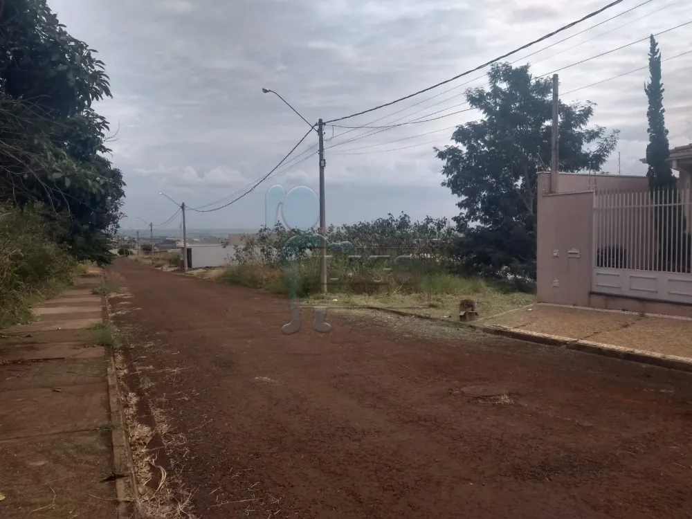 Comprar Terreno / Padrão em Dumont R$ 70.000,00 - Foto 3