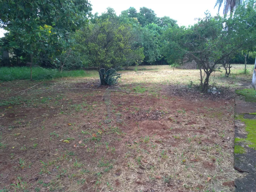 Comprar Casa / Chácara - Rancho em Patrocínio Paulista R$ 700.000,00 - Foto 5