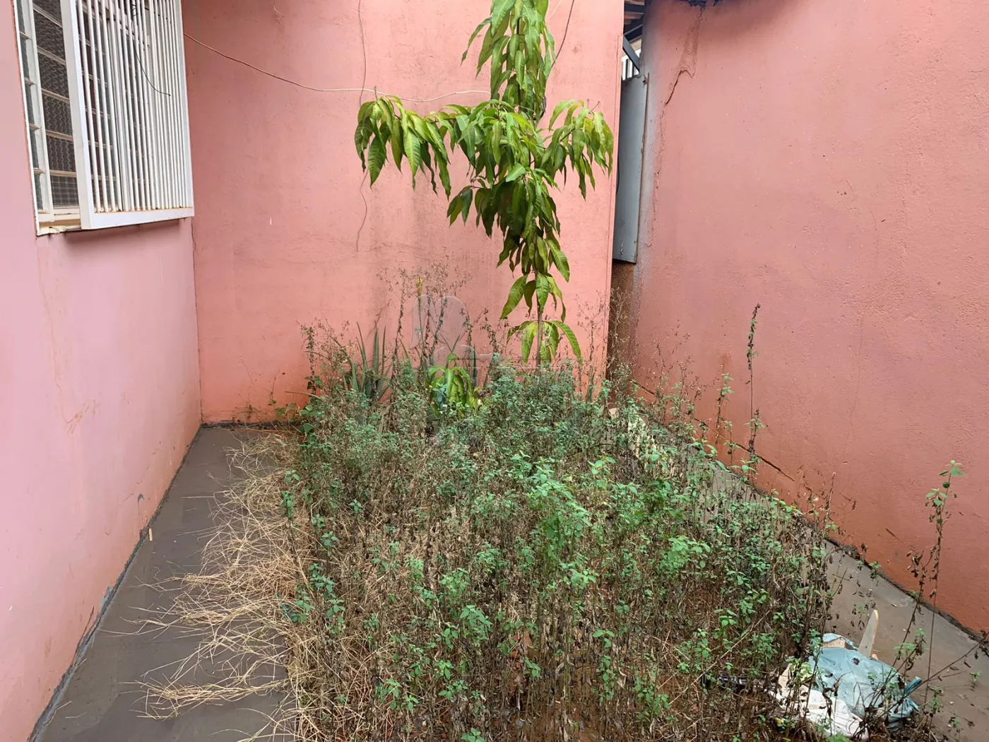 Comprar Casa / Padrão em Ribeirão Preto R$ 3.200.000,00 - Foto 42